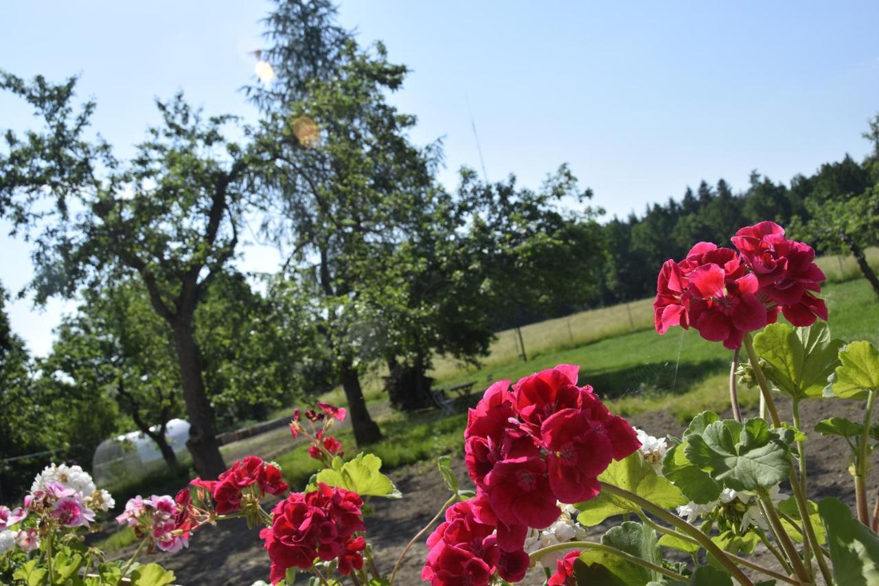 Nowa Kamienica 11 Villa Stara Kamienica Eksteriør bilde