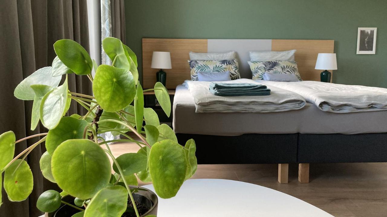Nowa Kamienica 11 Villa Stara Kamienica Eksteriør bilde